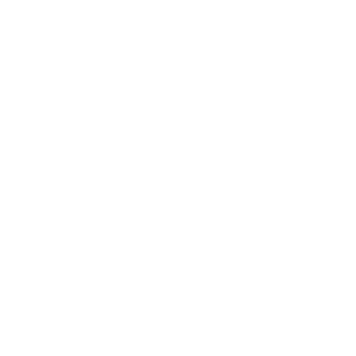 logo light